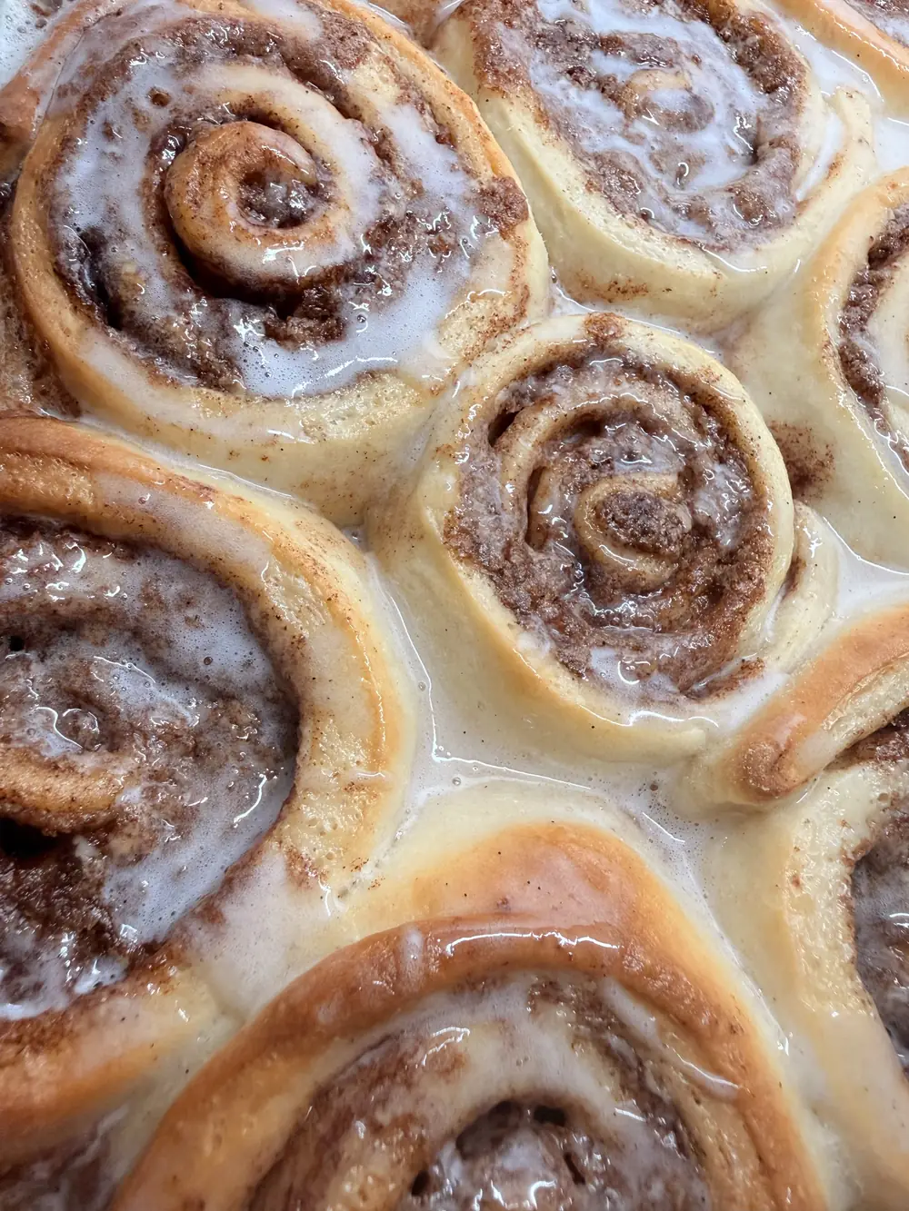 Rustic Roots small-batch bakes for SaddleBrooke & Catalina